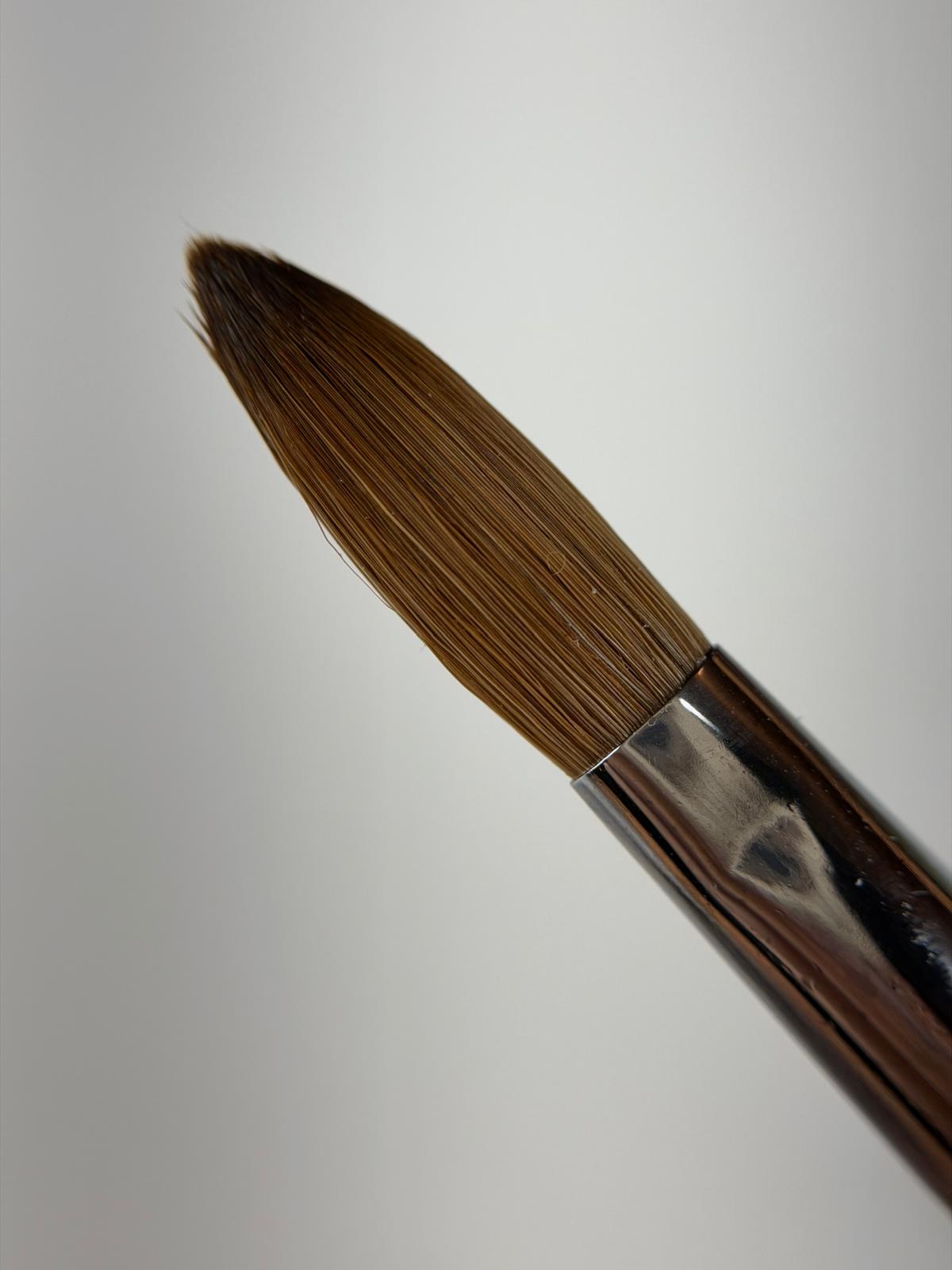 Vorderansicht des AM Champ #8 Acrylpinsels aus Kolinsky-Haar, Größe 8, von Studio Amelie